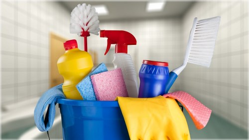 Professional carpet cleaning team serving Canary Wharf interiors