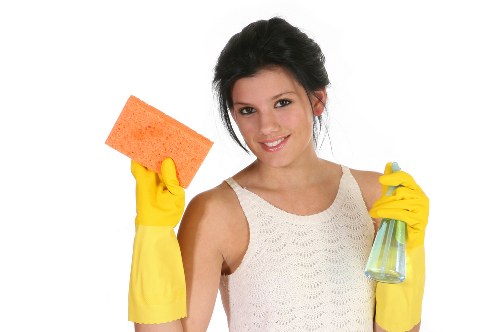 Professional carpet cleaning equipment used for a scheduled service