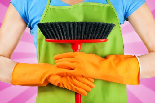 Professional stain removal for carpets and upholstery in Canary Wharf