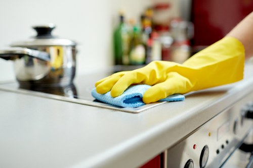 Steam cleaning service for a residential flat carpet near Canary Wharf