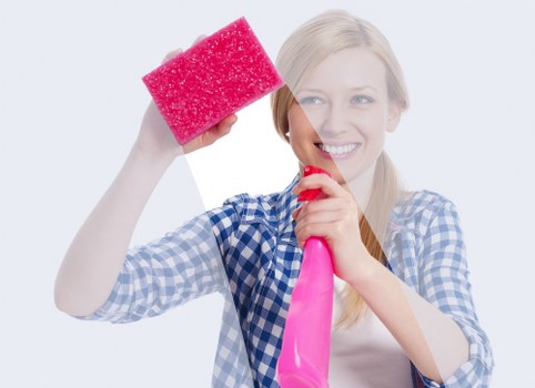 Local window cleaning team serving Canary Wharf apartments and offices