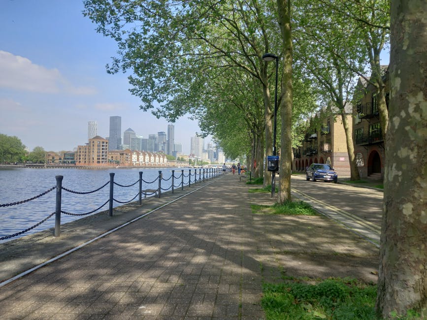 A wide view of Jubilee Park in Canary Wharf E14 showing lush green trees in the foreground with vibrant, well-maintained foliage. In the background, the modern Canary Wharf skyline features numerous h